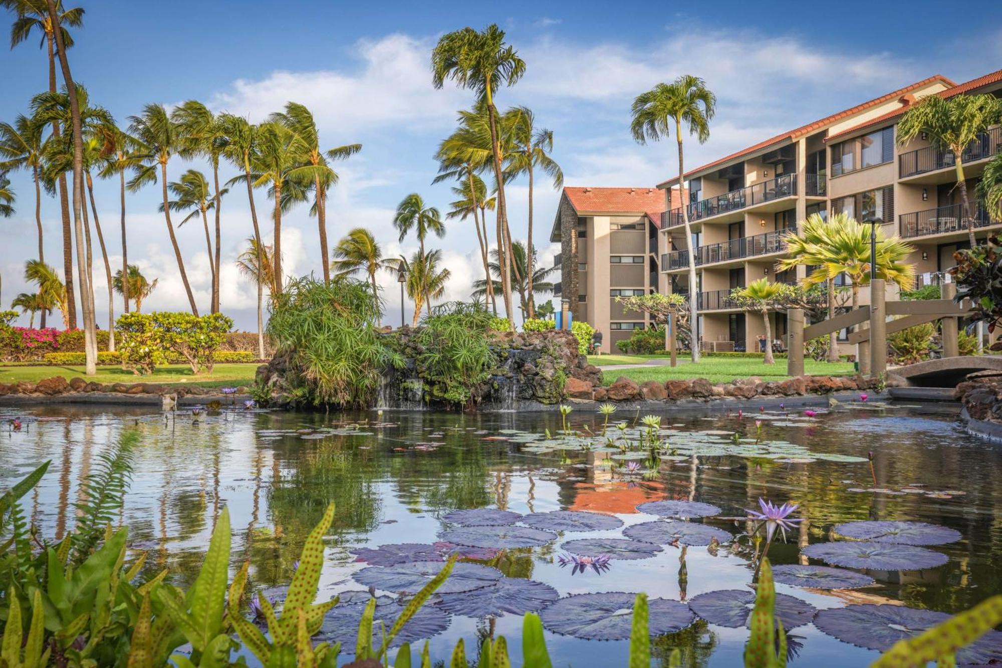 Aston At Papakea Resort Lahaina Dış mekan fotoğraf